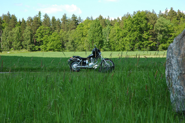 Suzuki Savage LS650